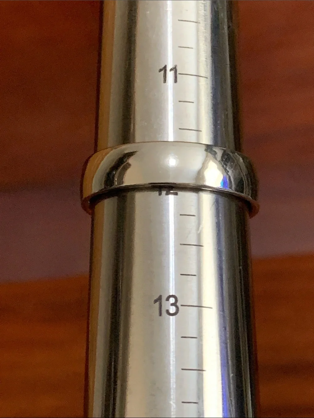 New stainless steel ring size 12